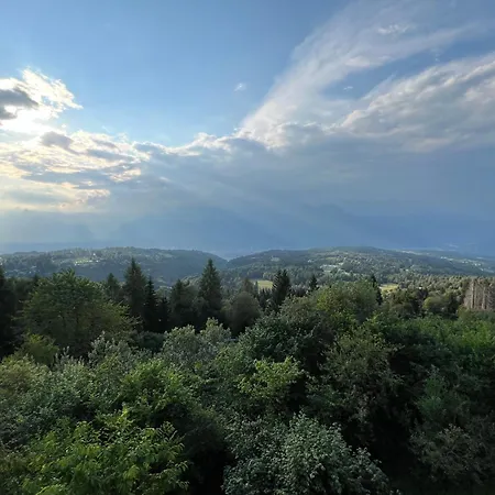 The View *